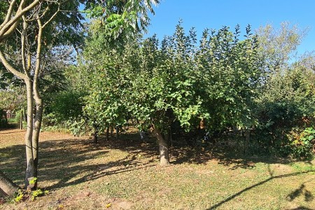 Gat, građevinsko zemlji&scaron;te, 1265 m2