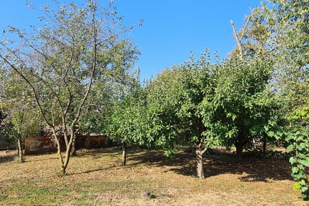 Gat, građevinsko zemlji&scaron;te, 1265 m2